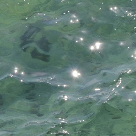 Seeunplayer Park Seeun Github - Premium Vintage Photo Gallery - HD