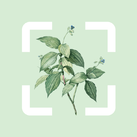 Github Herbaguideteam Herbaguideapps - Premium Geometric Illustration - 8K