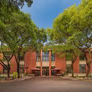 Github Molla202 Elys - Artistic Dark Wallpaper - HD