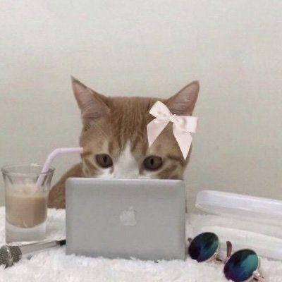 Jazmin Rg Github - Minimal Illustrations - Modern Desktop Collection