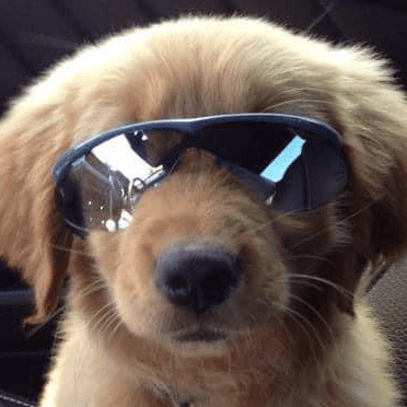 Jchucad Jean Christophe Huc Github - Premium Landscape Pattern Gallery - 8K