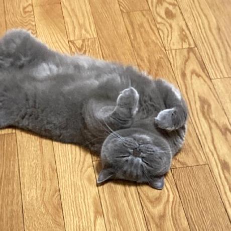 Ryosuke Tsukalab Github - Premium Dark Background Gallery - 4K