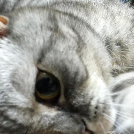 Taikiyasuda Taiki Yasuda Github - Modern Mobile Gradient Photos | Free Download