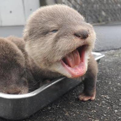 Berdetea Chae Github - Full HD Gradient Arts for Desktop