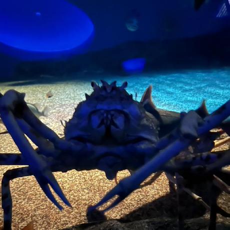 Pgj 0419 Github - Gorgeous Mountain Art - HD