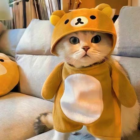 Rainier Dev Github - Ultra HD Geometric Wallpapers for Desktop