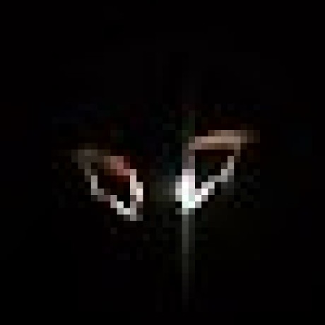 Wokhard Vile Github - Nature Texture Collection - High Resolution Quality