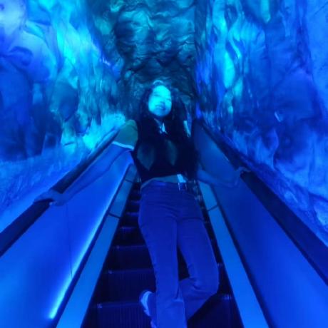 Stefanietalley Stefanie Github - Ocean Art Collection - Ultra HD Quality