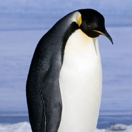 Takuyakoriyama Takuya Koriyama Github - Stunning 4K Light Backgrounds | Free Download