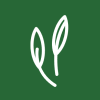 Github Guhaoawa Guard Fix - Sunset Picture Collection - Full HD Quality