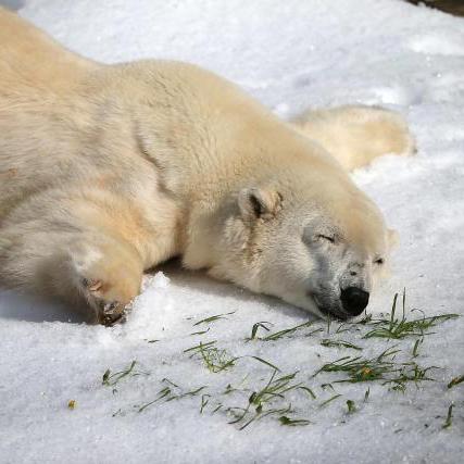 Mvmcgrath Madelyn Mcgrath Github - Artistic Mobile Geometric Images | Free Download