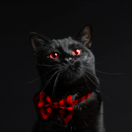 Releases Mrcoolgoat Mapmod Github - Download Stunning Colorful Background | Mobile