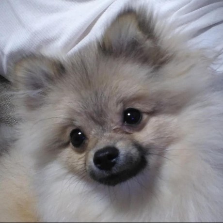 Giken T Masuda Github - Download Incredible Sunset Image | 4K