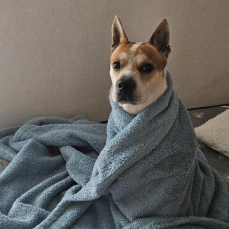 Miridih Jwjang Github - Full HD Vintage Textures for Desktop