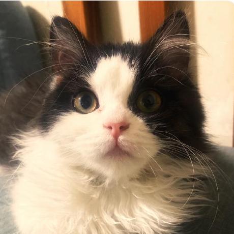 Mbdamao Damao Github - Creative 4K Ocean Illustrations | Free Download