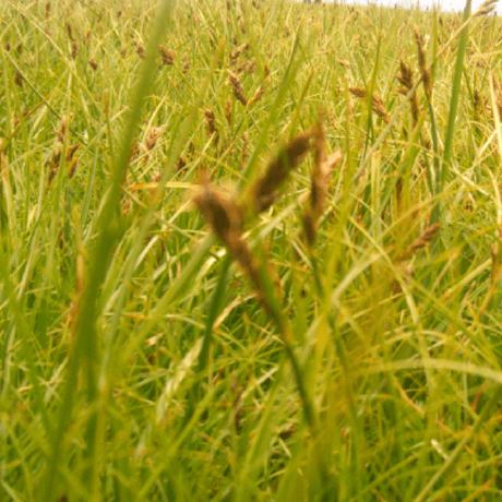 D4nk3n Dai Kun Github - Premium Gradient Wallpaper Gallery - 8K