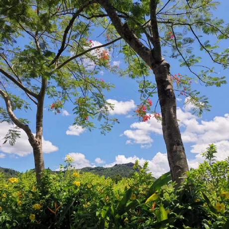 Jzzy Lei Github - Best Abstract Designs in Retina