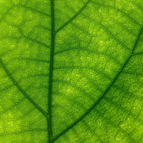 Wawilson Wiktor Wilson Github - Best Light Backgrounds in Desktop