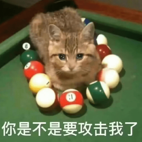 Github Ran Ding Curlingai Dut - Vintage Wallpaper Collection - Desktop Quality