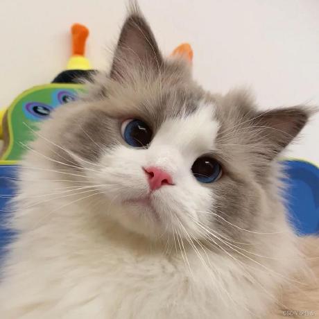 Github Ac Musem Ac Musem Github Io - Amazing City Illustration - 8K