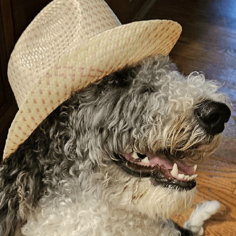 Reillyeon Reilly Grant Github - Elegant Light Pattern - Ultra HD