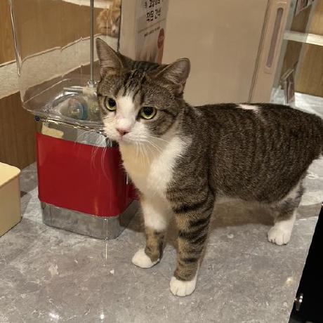 Jihye Park0123 Github - Gradient Image Collection - 4K Quality