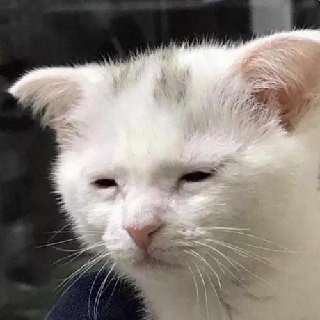 Kimangkhenng Kheang Kimang Github - High Quality Ocean Photo - Retina