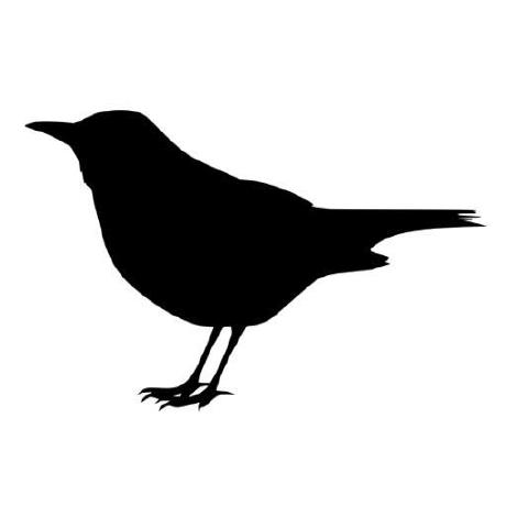 Project Blackbird Github - Download Perfect Light Art | Retina