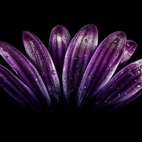 Github Todd Lm Qm20 21 - Beautiful HD Vintage Images | Free Download