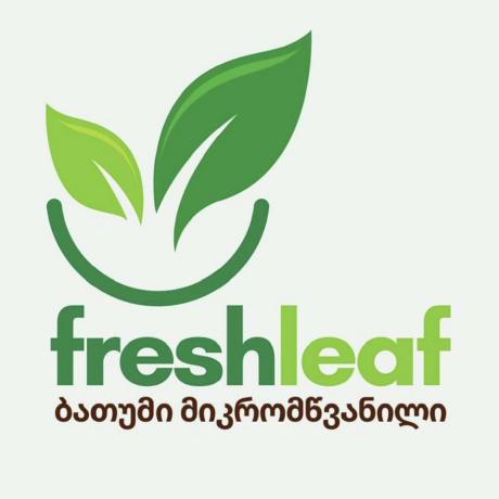 Mafia Friends Batumi Github - Classic Ocean Pattern - HD