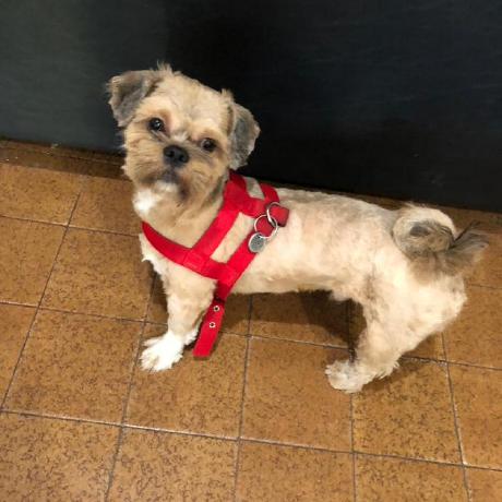 Noecam Noelia Camelia Github - Premium Mountain Image Gallery - Mobile