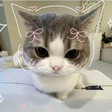 Z Alavi Github - High Resolution Space Arts for Desktop