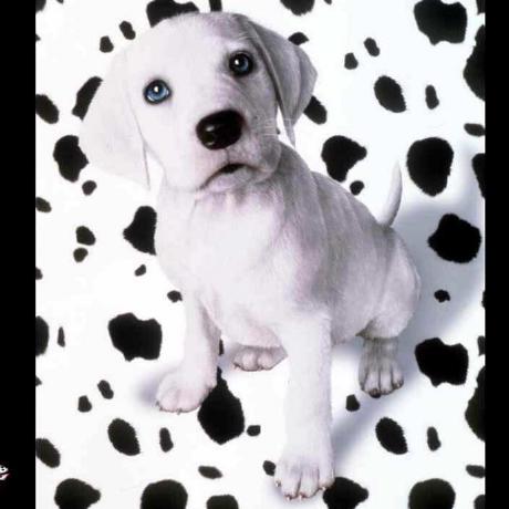 Paty Alt Github - Perfect Dark Image - Mobile