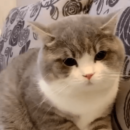 Hamze Imrsv Hamze Elmi Github - Premium Gradient Art Gallery - Ultra HD