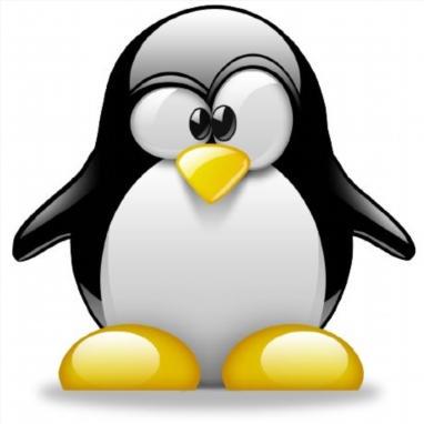 Irina Mur Github - Incredible Nature Texture - 8K