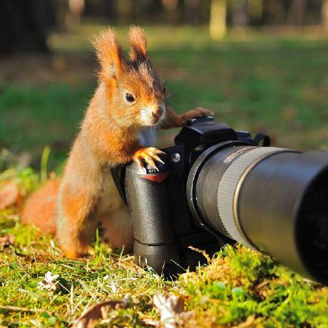 Bengitts Benson Gitau Github - Retina Geometric Arts for Desktop