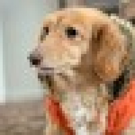 Takutok Takuto Kimura Github - Download Premium Nature Photo | 8K