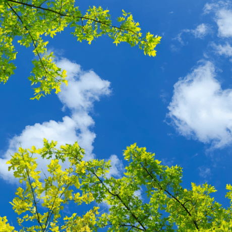 Github Yewon915 Yewon - 4K Sunset Wallpapers for Desktop