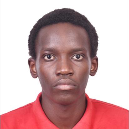 Gatabazi Github - Nature Art Collection - 8K Quality