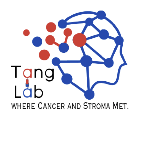 Tanglab Whu Github - Minimal Images - Artistic HD Collection