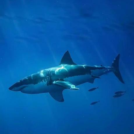 Davids Velasquez Github - Gorgeous Space Design - HD