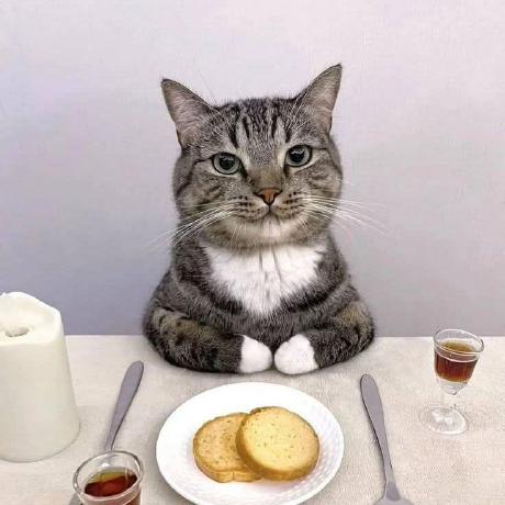 Pandita Github - Gradient Image Collection - HD Quality