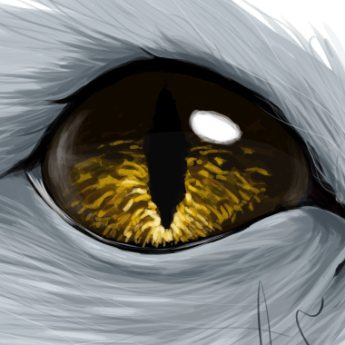 Destroycom Dest Com Github - Vintage Patterns - Gorgeous 4K Collection