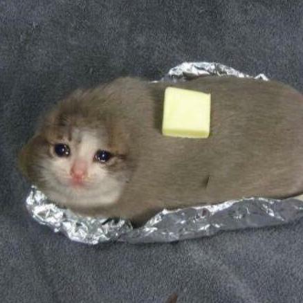 Dyan X Kornel Bobak Github - 8K Space Photos for Desktop