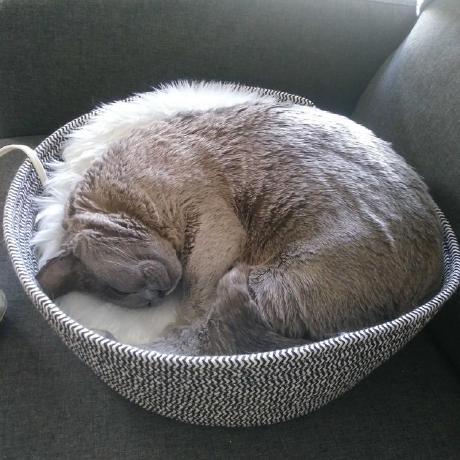 Pishock Fedack Francis Mathias Chartier Github - Best Colorful Wallpapers in 8K