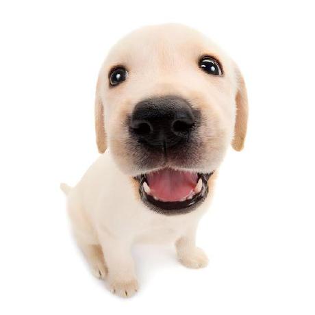 Miruku Github - Premium Landscape Photo Gallery - Retina