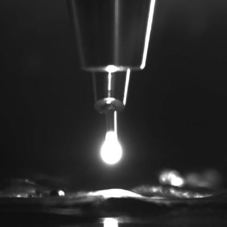 Ham Lab Otago University Github - Premium Space Image Gallery - Desktop