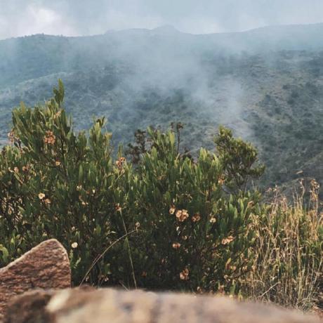 Github Ruba Alqedra Final Project - Download Amazing Dark Texture | Mobile