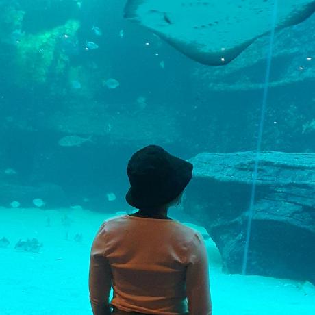 Thapelo Malete Thapelo Malifi Github - Premium Vintage Illustration Gallery - Full HD