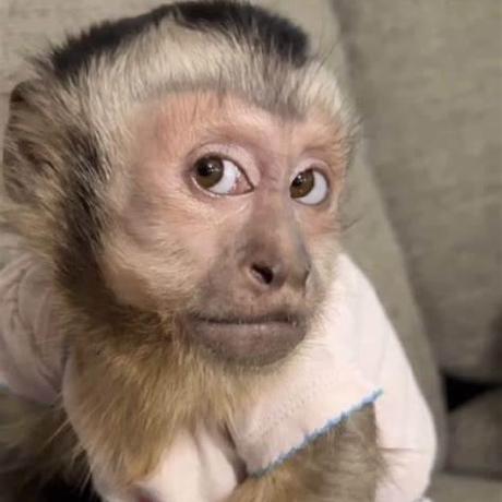 Amada Takashi Amada Github - High Resolution Abstract Pictures for Desktop